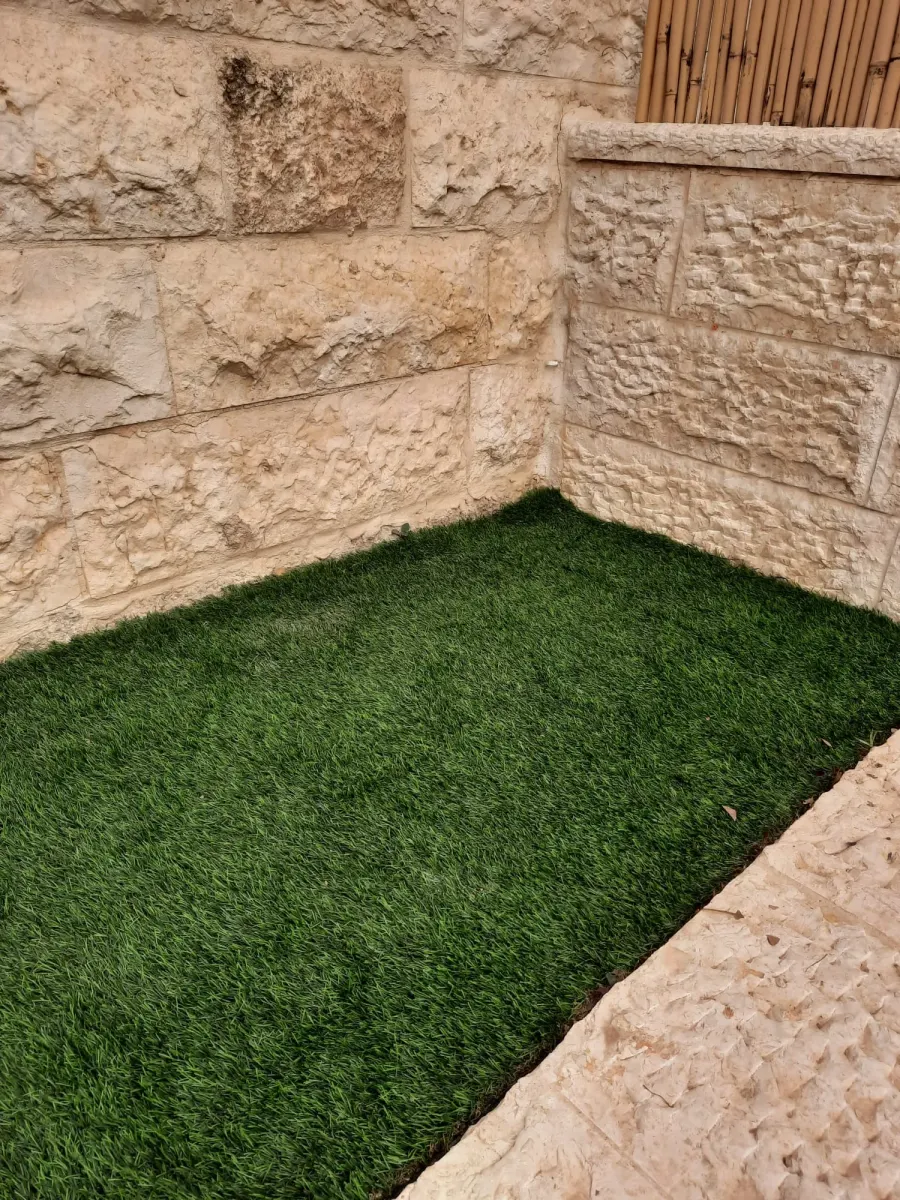 The same artificial grass area after cleaning