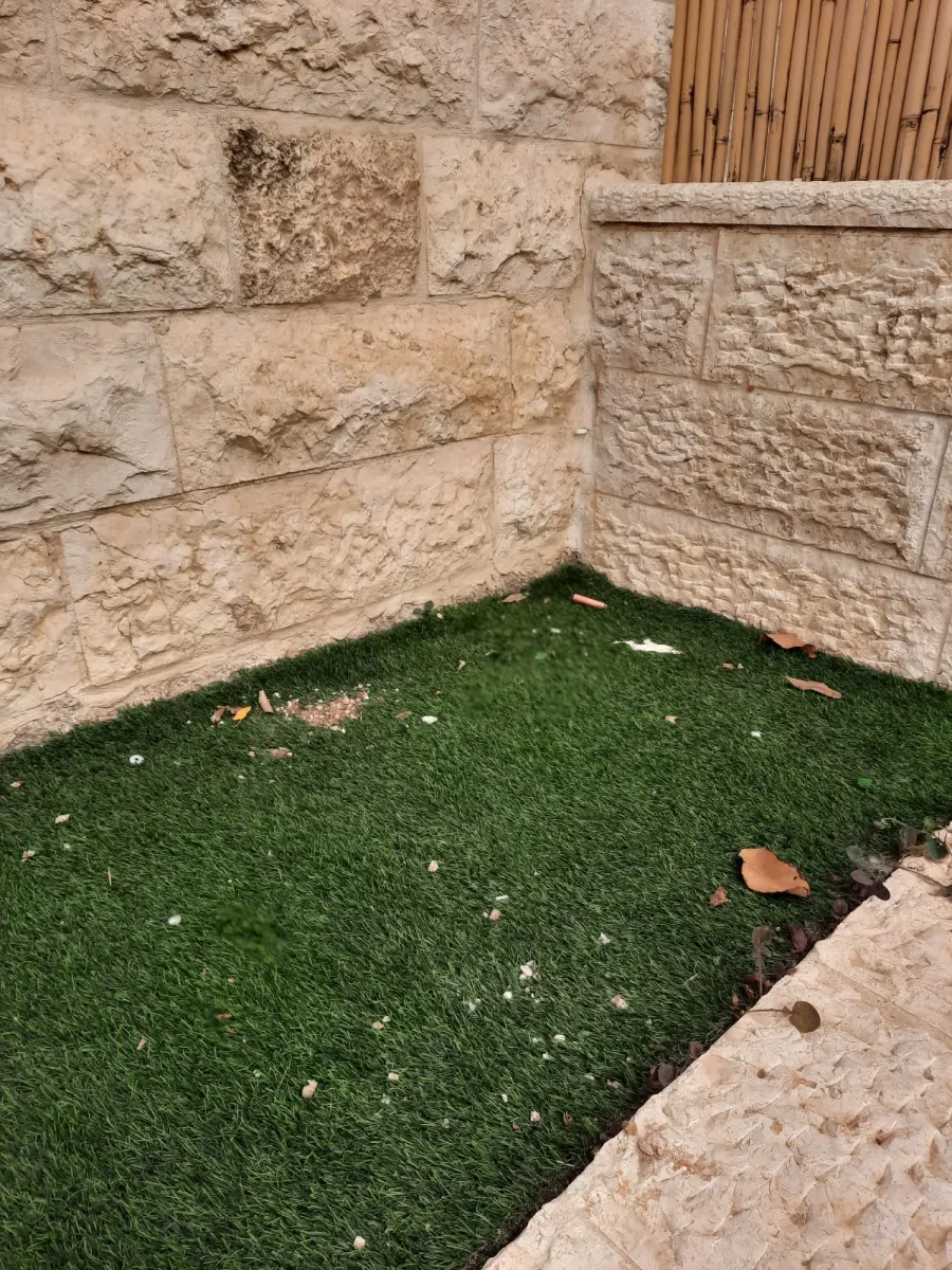Artificial grass area before cleaning